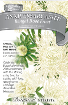 Bengal Rose Aster from Botanical Interests